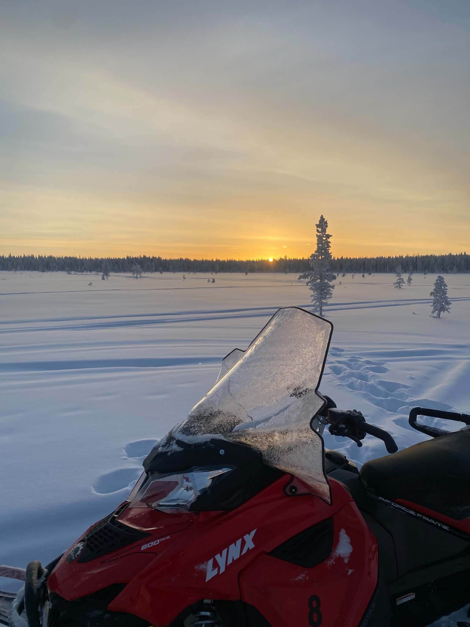 Snowmobile guide in Lapland